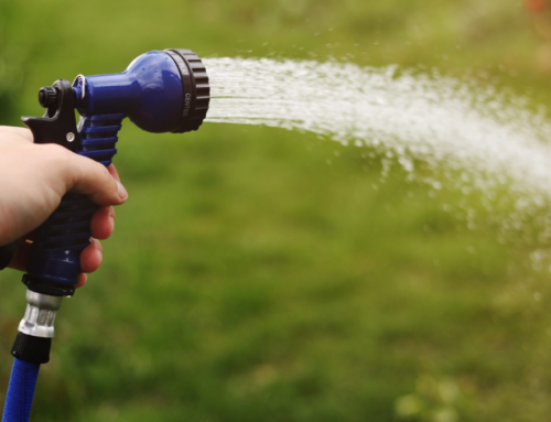 5 Ways to Reduce Outdoor Water Usage