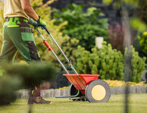Advice From Our Experts – OTC Fertilizers And Weed Killers