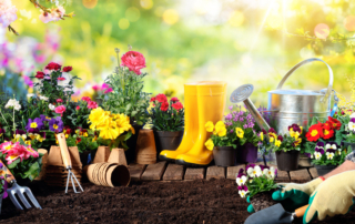 gardening-for-beginners-feature-image