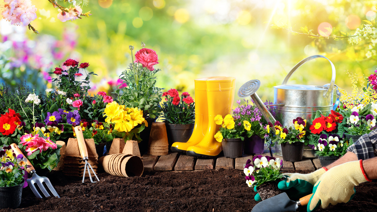 gardening-for-beginners-feature-image