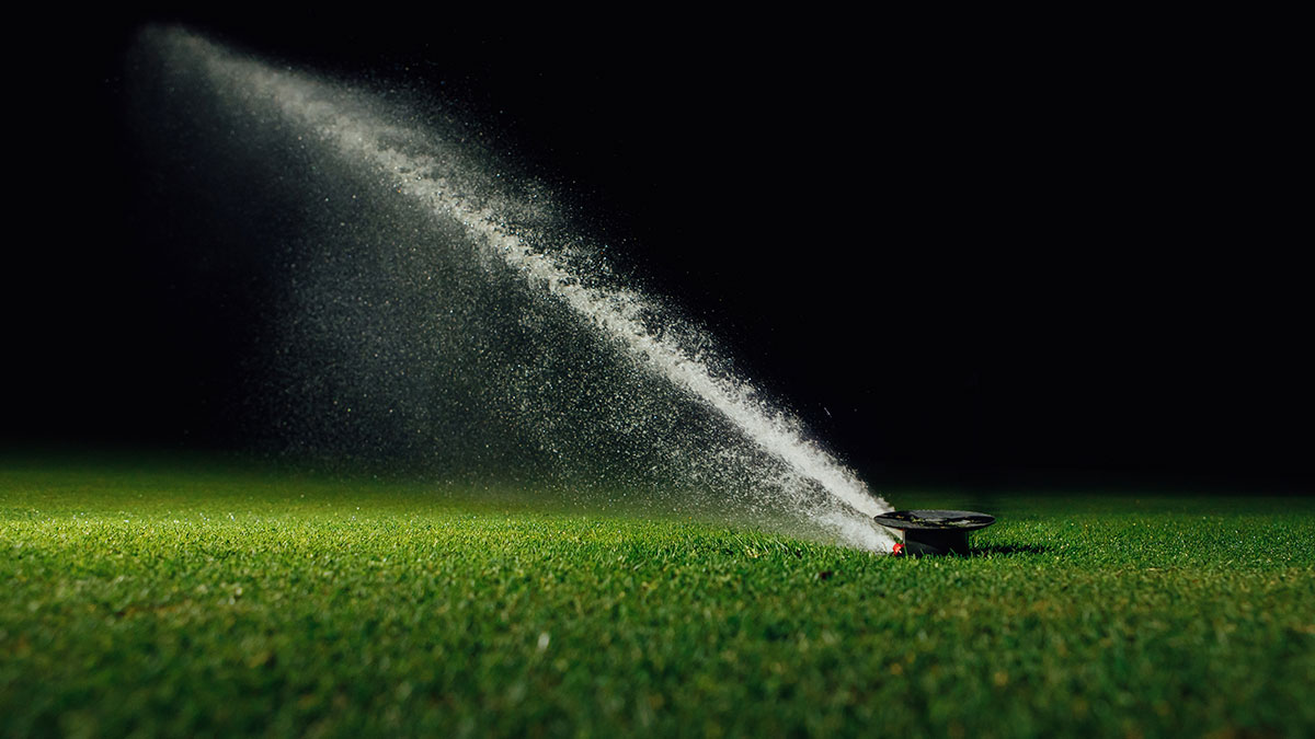 watering-at-night-post-feature-image