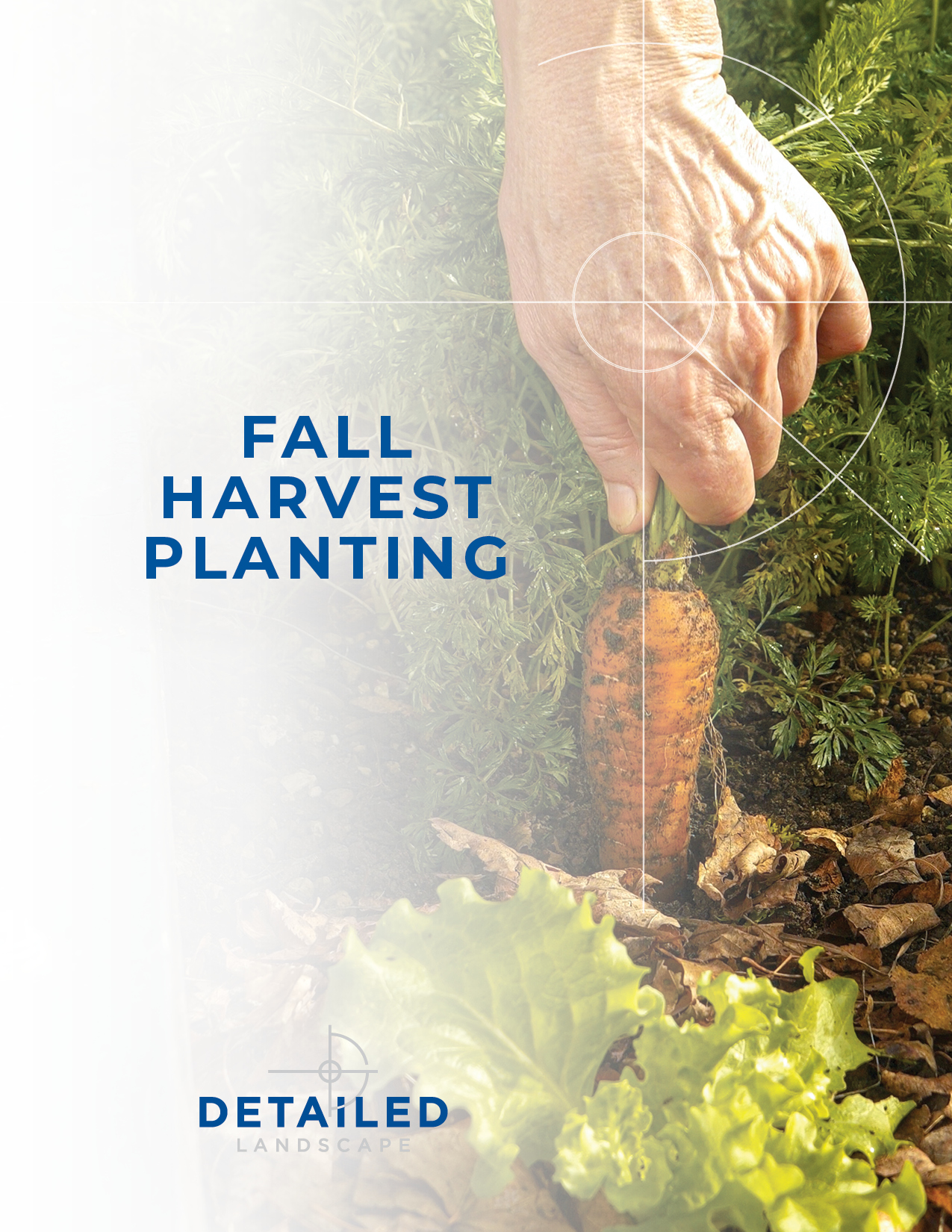 Fall Harvest Planting-Cover