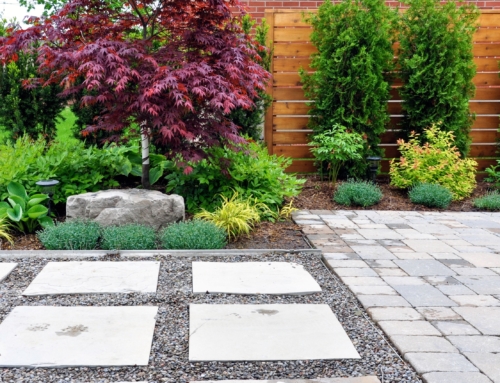 What are Hardscapes and How to Start Planning Yours